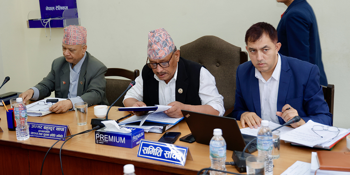 विद्यालय शिक्षा विधेयकमा जुट्यो सहमति,  शिक्षा समितिले भोलि पारित गर्ने